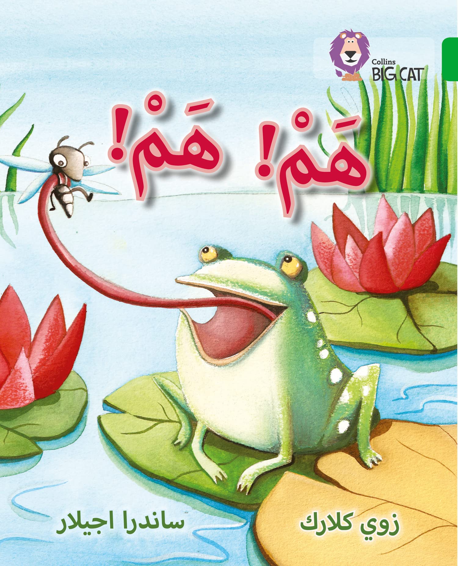 Collins Big Cat Arabic – Hum Hum: Level 5 (English and Arabic Edition)