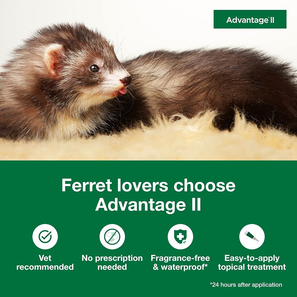 No More Ferret Fleas Natural Flea Control Treatment for No More Ferret Fleas Natural Flea Control Treatment for