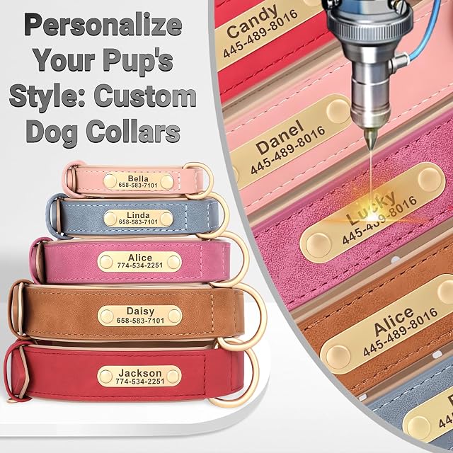 Foto 4 de 8 de SEOUGEE Collar de cuero personalizado para perro