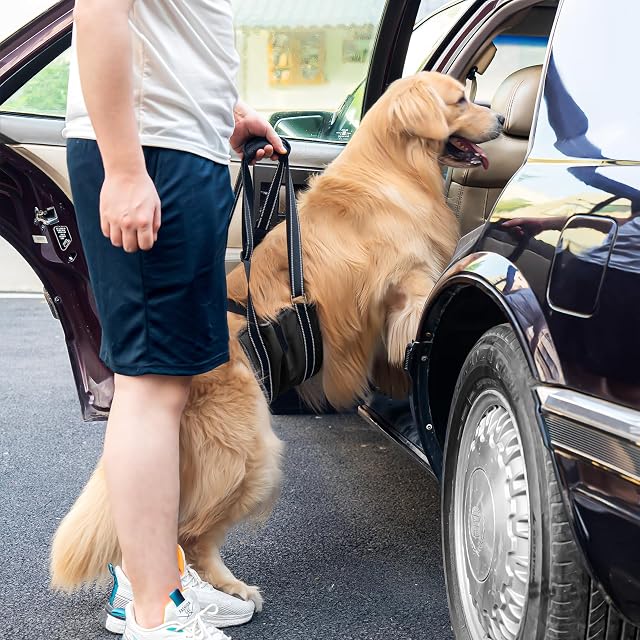 Foto 4 de 6 de Avont Arnés de Elevación para Perros