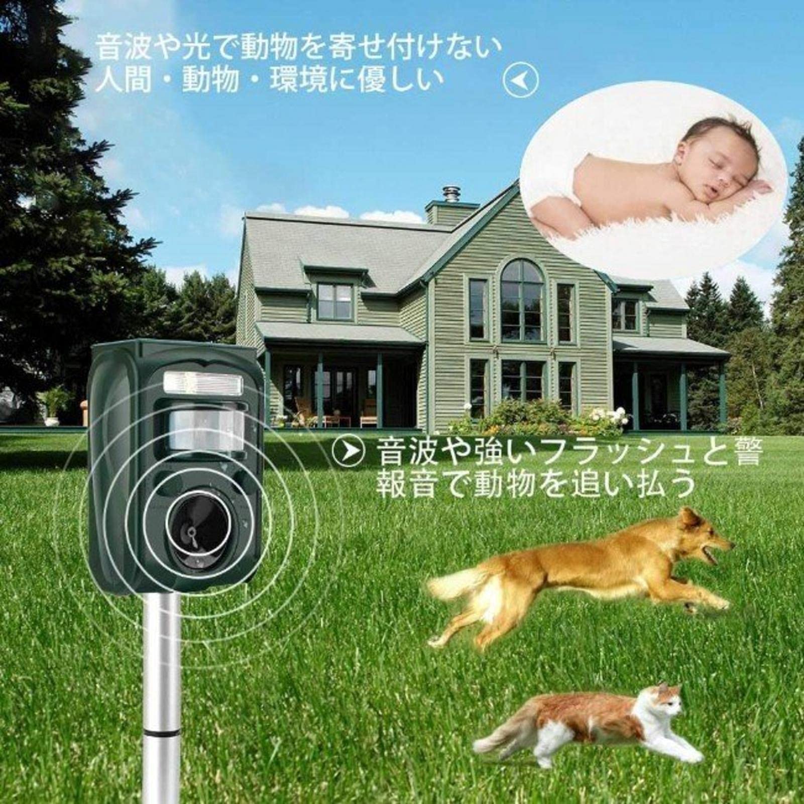 Amazon.co.jp: 猫よけ 超音波 フラッシュ ライト 強力 ソーラー