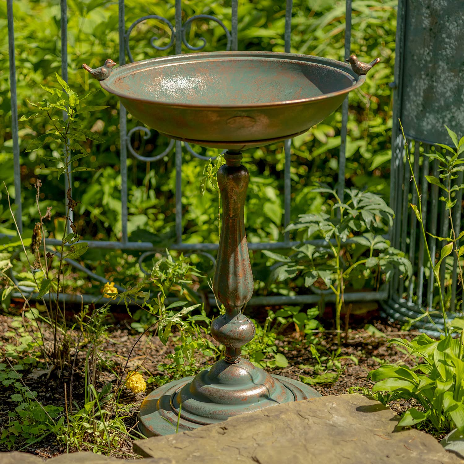 10 Best Cement Bird Baths for Your Garden Hummingbirds Plus