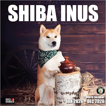 RED EMBER Shiba Inus 2026 Wall Calendar 12 Month | 12" x 24" Open | Thick & Sturdy Paper | HGiftable | Cute Puppy Dog Calendar 2026