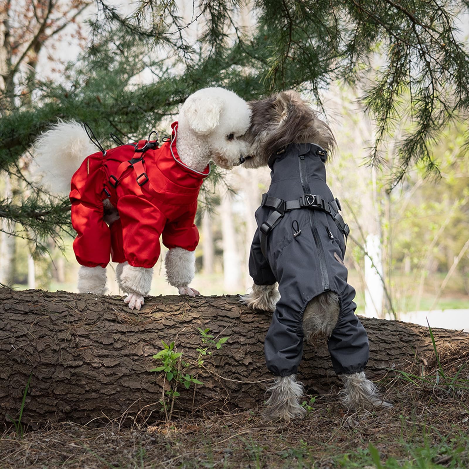 Wasserdichter Wintermantel für Hunde, Purple XXXL