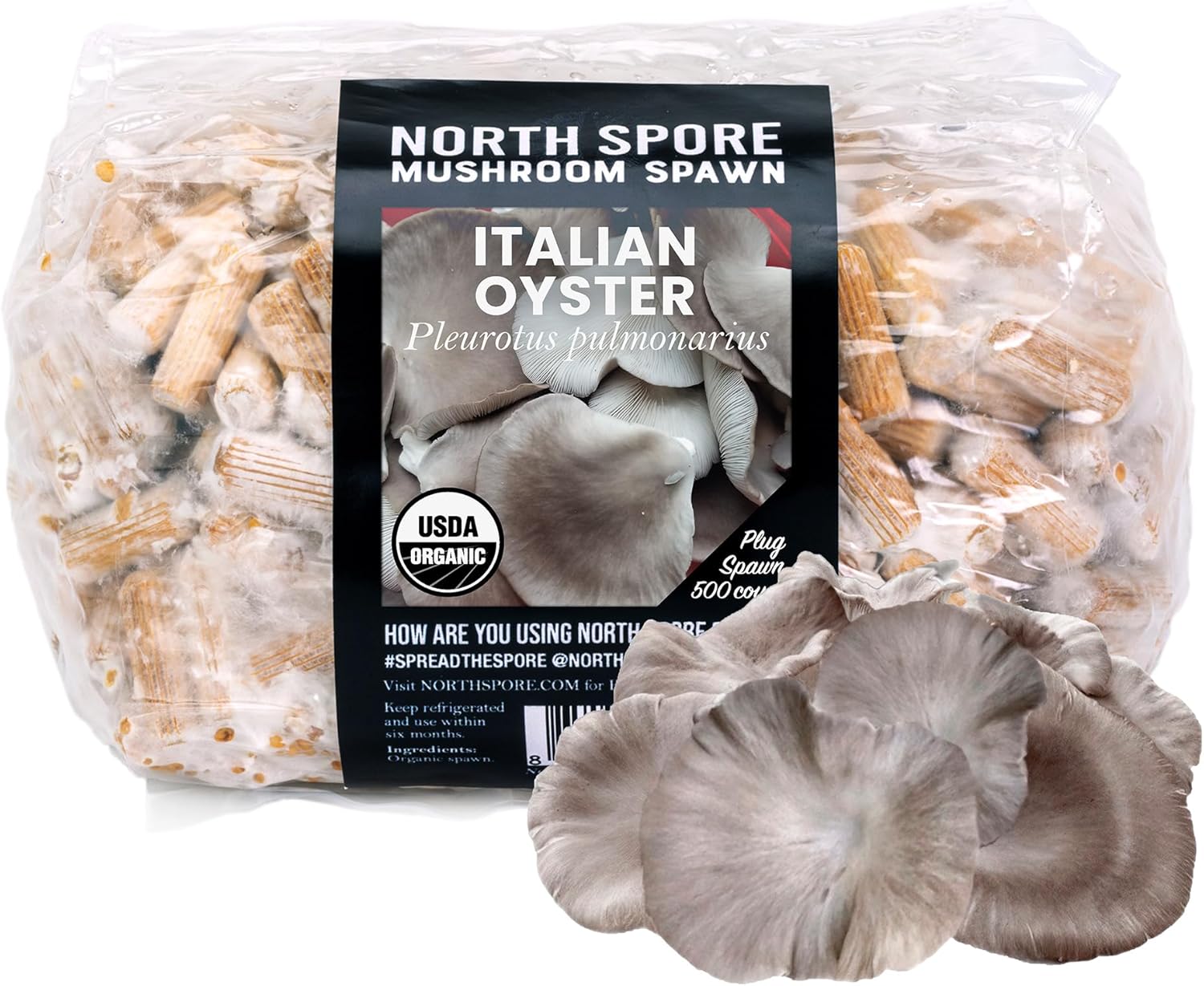 North Spore Organic Italian Oyster (500 ct) Mushroom Plugs for Logs | Premium Quality Mushroom Plug Spawn | Handmade in Maine, USA | Grow Gourmet Mushrooms Outdoors on Logs