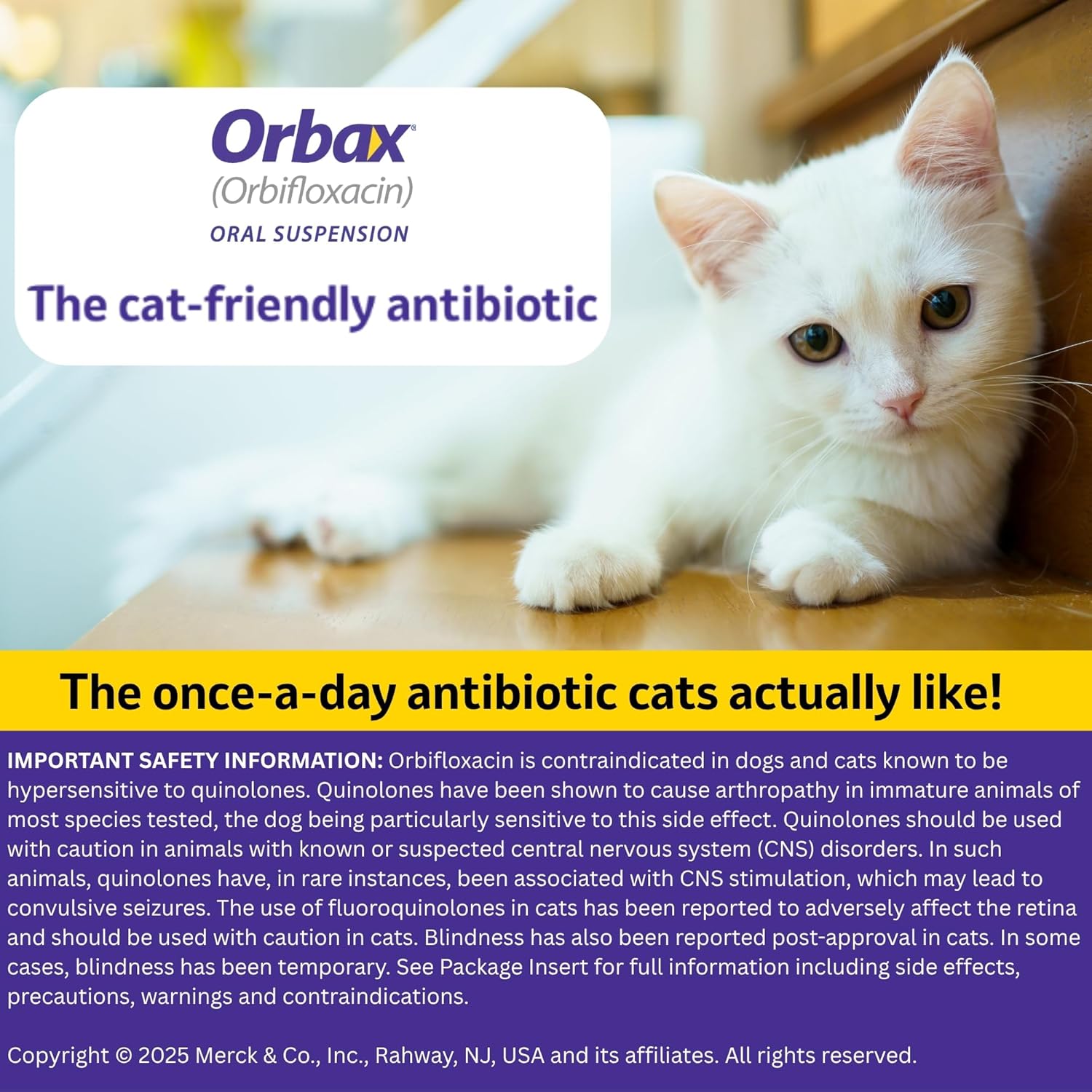 ORBAX Oral Suspension for Dogs & Cats, 30 mg/mL, 20mL