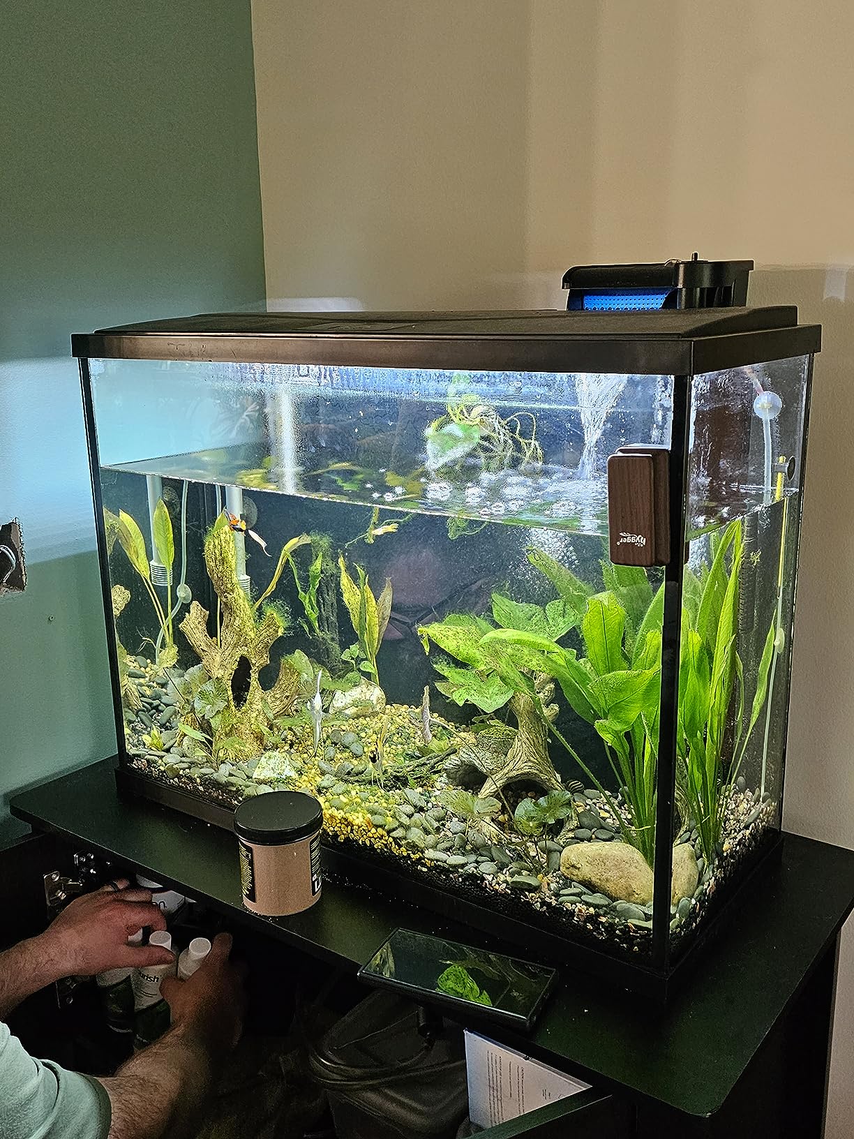 High Finance Fully Prepared Stepping Stone Aquarium Setup preview