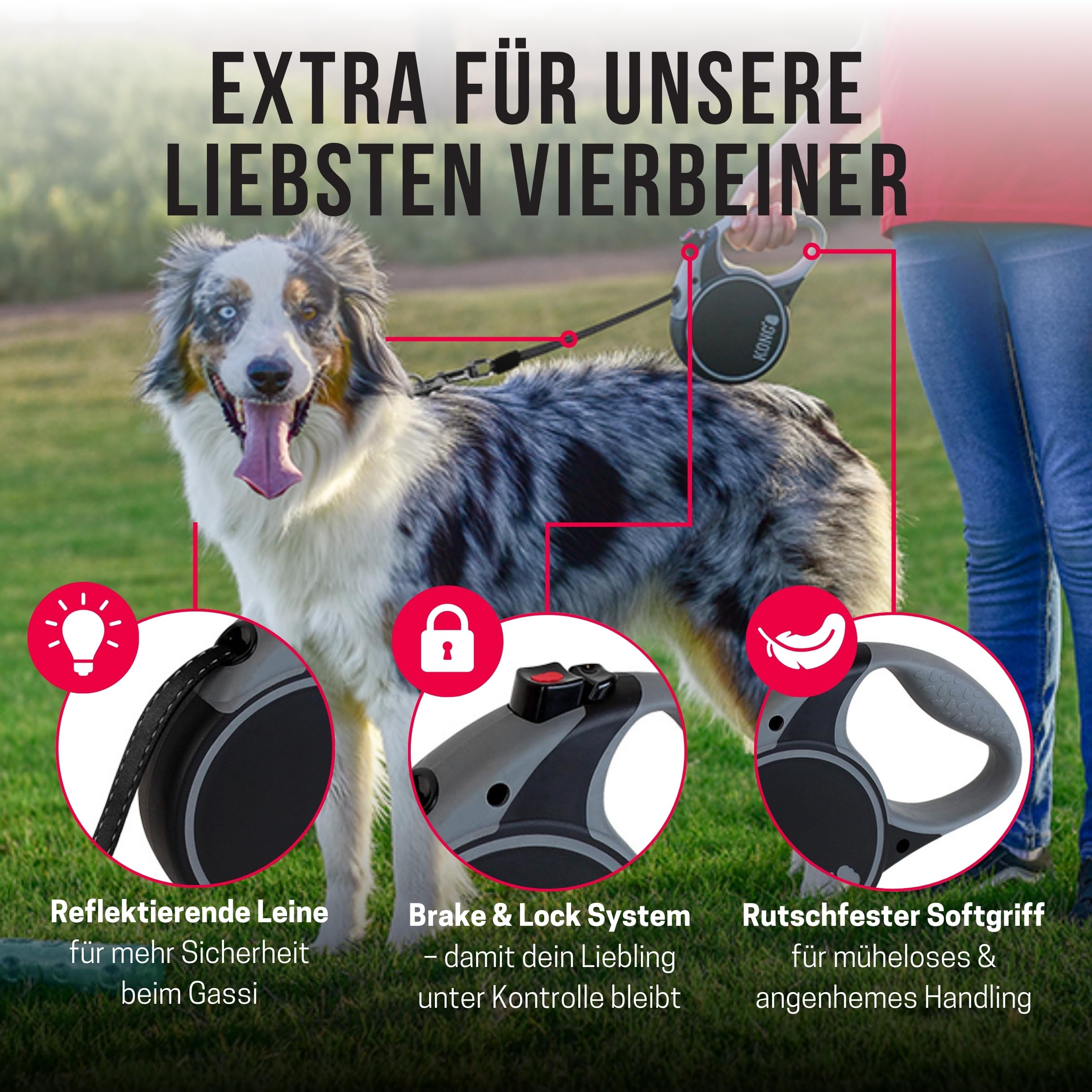 KONG Chiens terrestres Extensibles avec Une Sangle rétractitile Taille m (5m / 30 kg) Couleur Grise