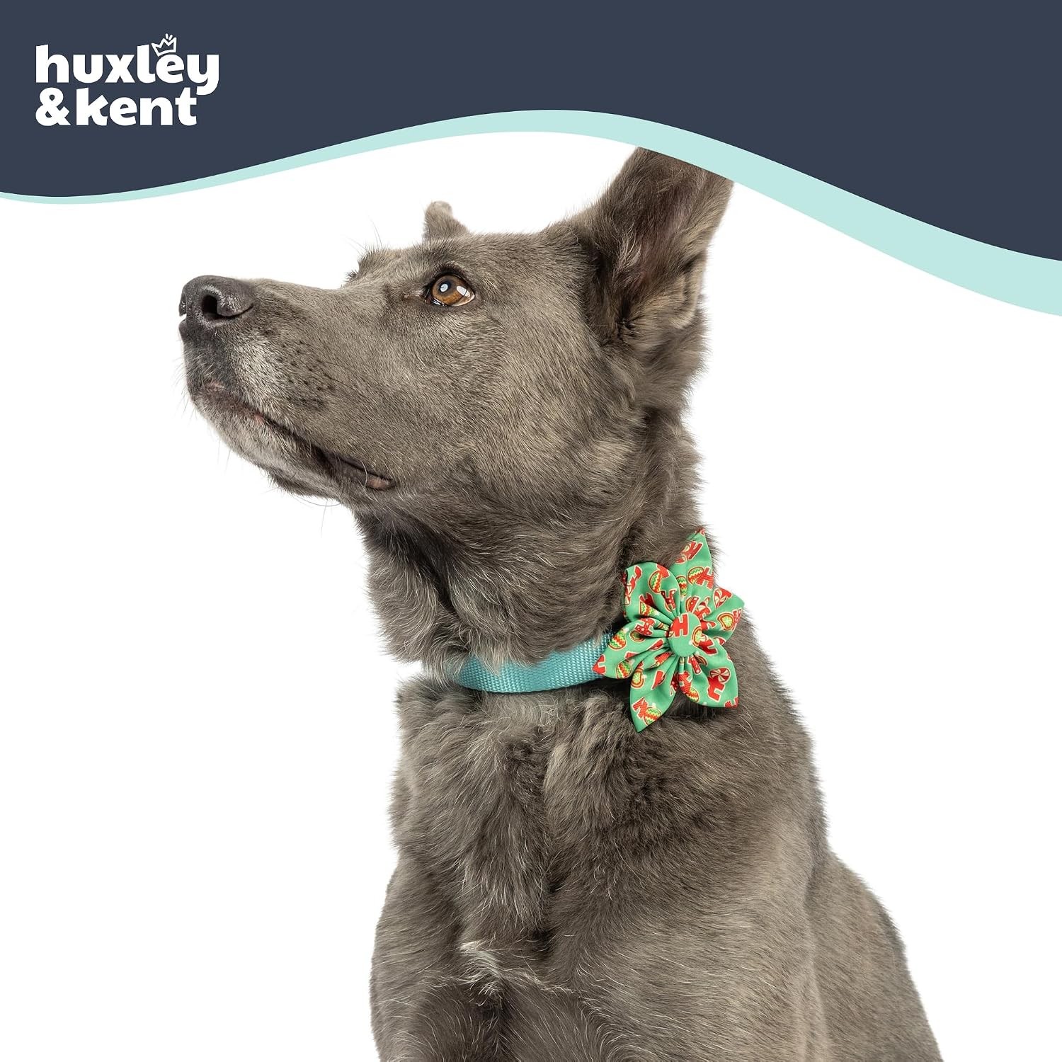 Huxley & Kent Pet Pinwheel Bow for Dogs & Cats - Holiday Adjustable Hook & Loop Collar Accessory - Cute & Comfortable for Holidays & Celebrations - Ho Ho Ho, Small image 4