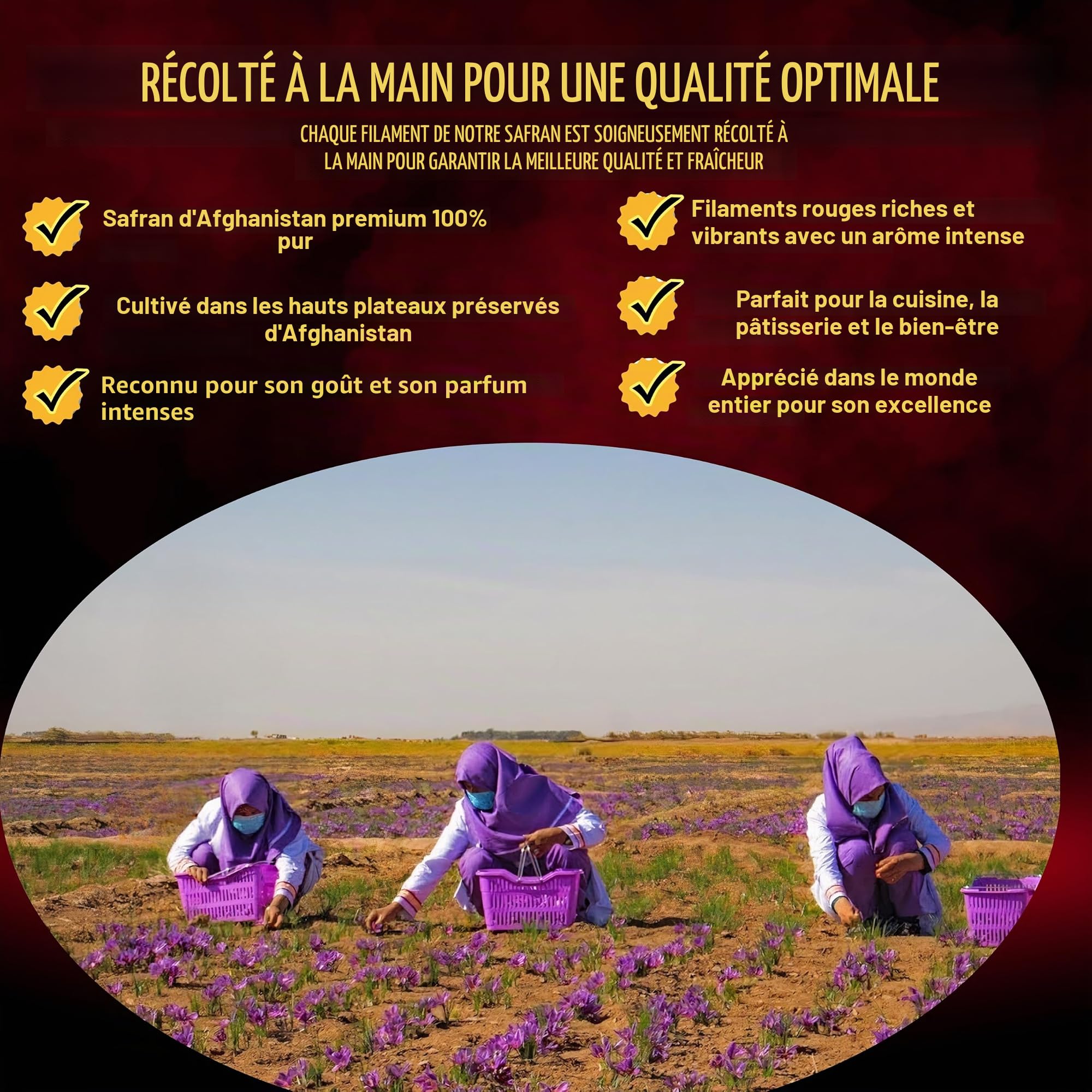 Amin Saffron Threads | Premium (Super Negin) Quality Saffron | 100 % naturel, harvested à la main et testé en laboratoire (5 g)