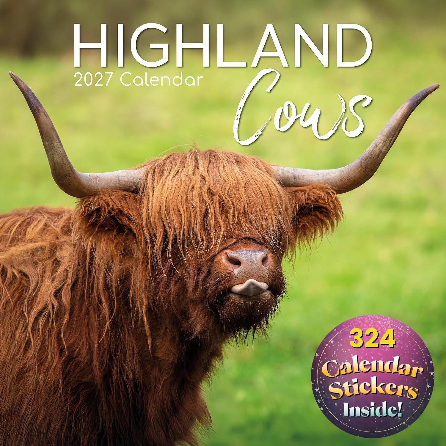 2027 Square Wall Calendar - Highland Cows 12 x 12 Inch Monthly View, 16-Month, Animals Theme, Includes 180 Reminder Stickers