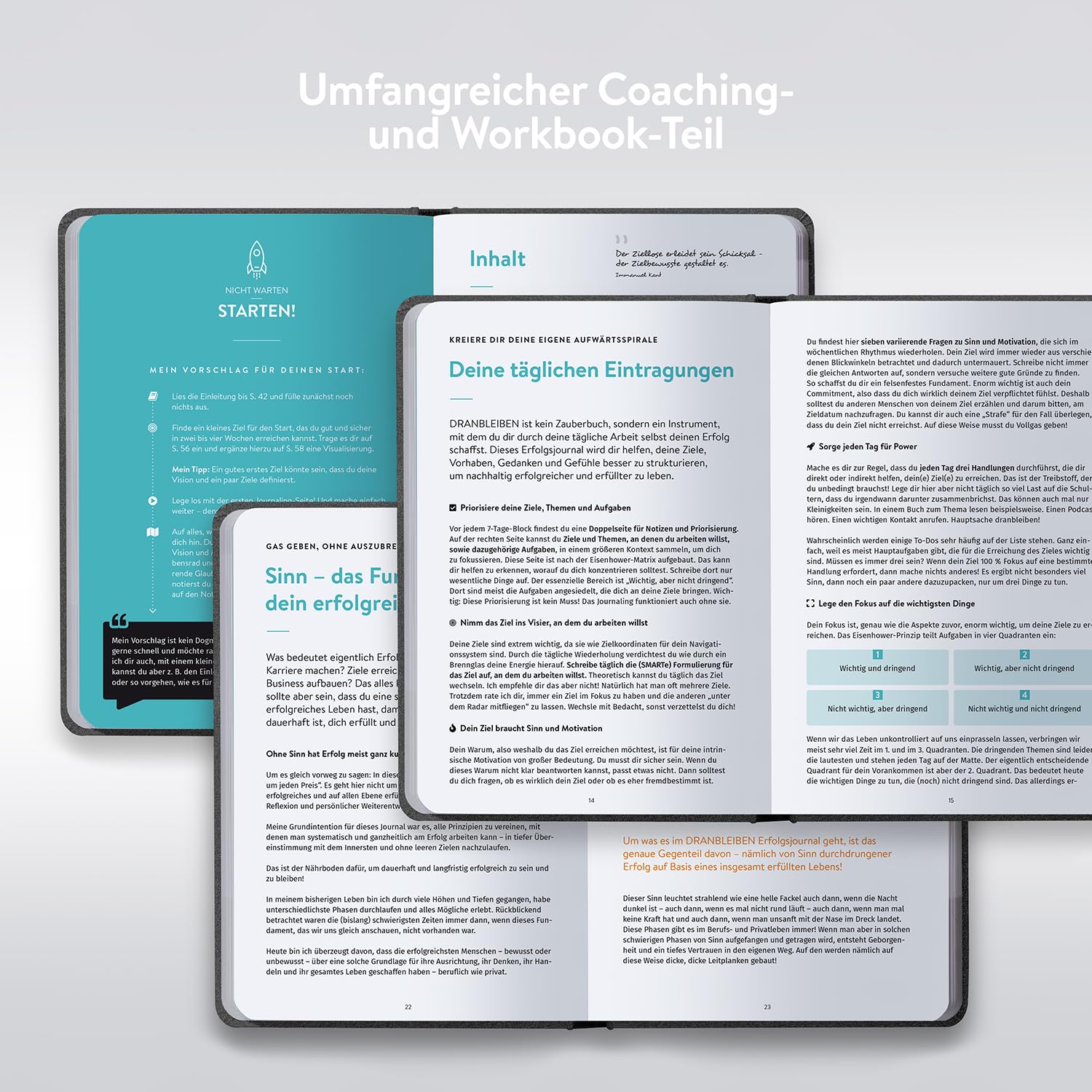 DRAN BLEIBEN Erfolgsjournal – für Ziele, Fokus, Selbstreflexion, Achtsamkeit & persönliche Entwicklung – DIN A5 (Startversion, Nobly Platinum)