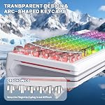 FREEWOLF M95 Clavier Membrane transparent avec capture de clé claire,Clavier de jeu Wired avec RGB Rétroéclairé, 94 Clés silencieuses avec sensation mécanique,26-Key Anti-ghosting, pour Mac/Windows -Blanc