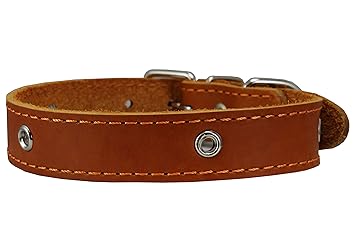 Genuine Leather Studded Dog Collar, Black, 1