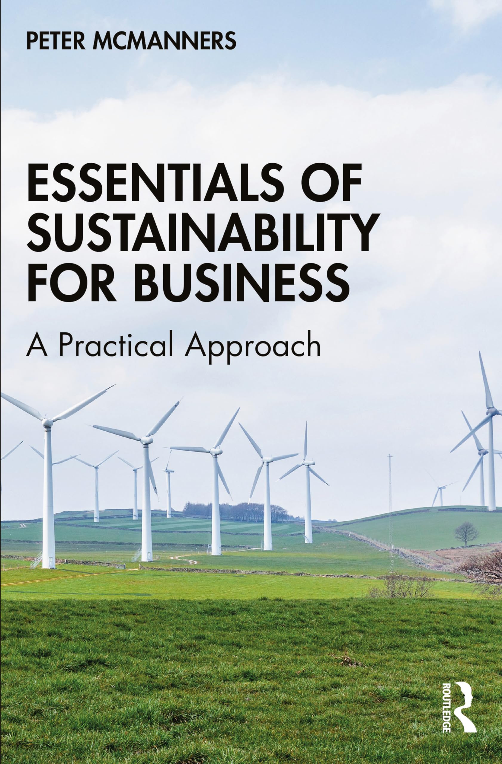 Essentials of Sustainability for Business : A Practical Approach