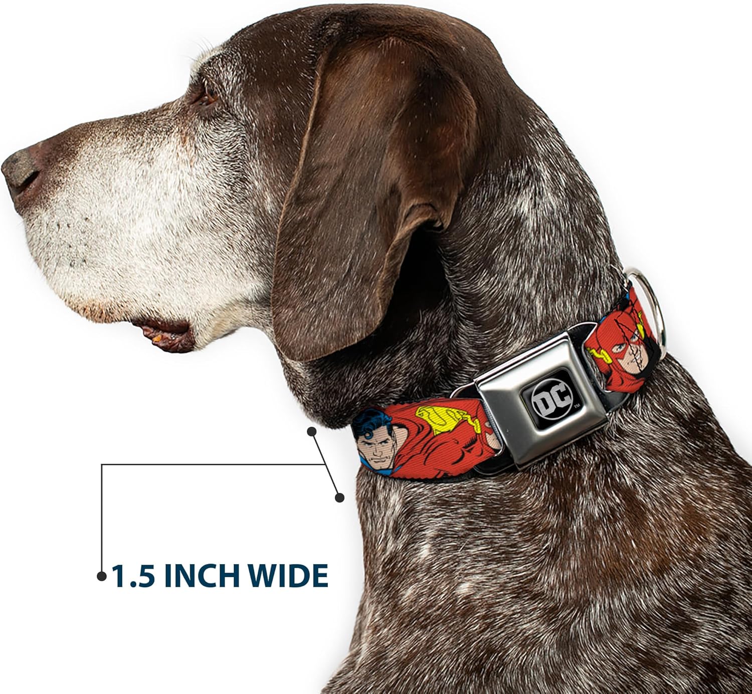 Buckle-Down Seatbelt Buckle Dog Collar - Justice League Superheroes CLOSE-UP New - 1" Wide - Fits 15-26" Neck - Large