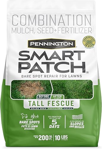 Pennington Smart Patch - Mezcla de festuca alta, 10 lb
