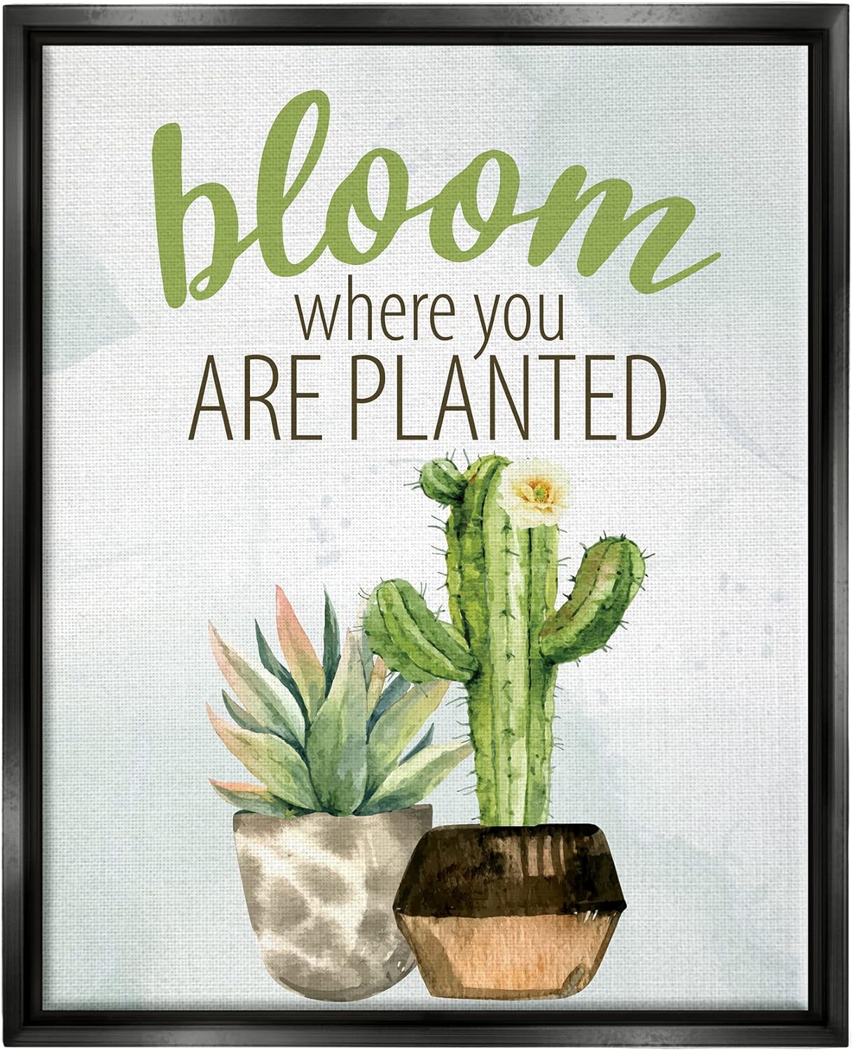 Stupell Industries Bloom Where You Are Planted Cactus Succulent, Design by Kim Allen