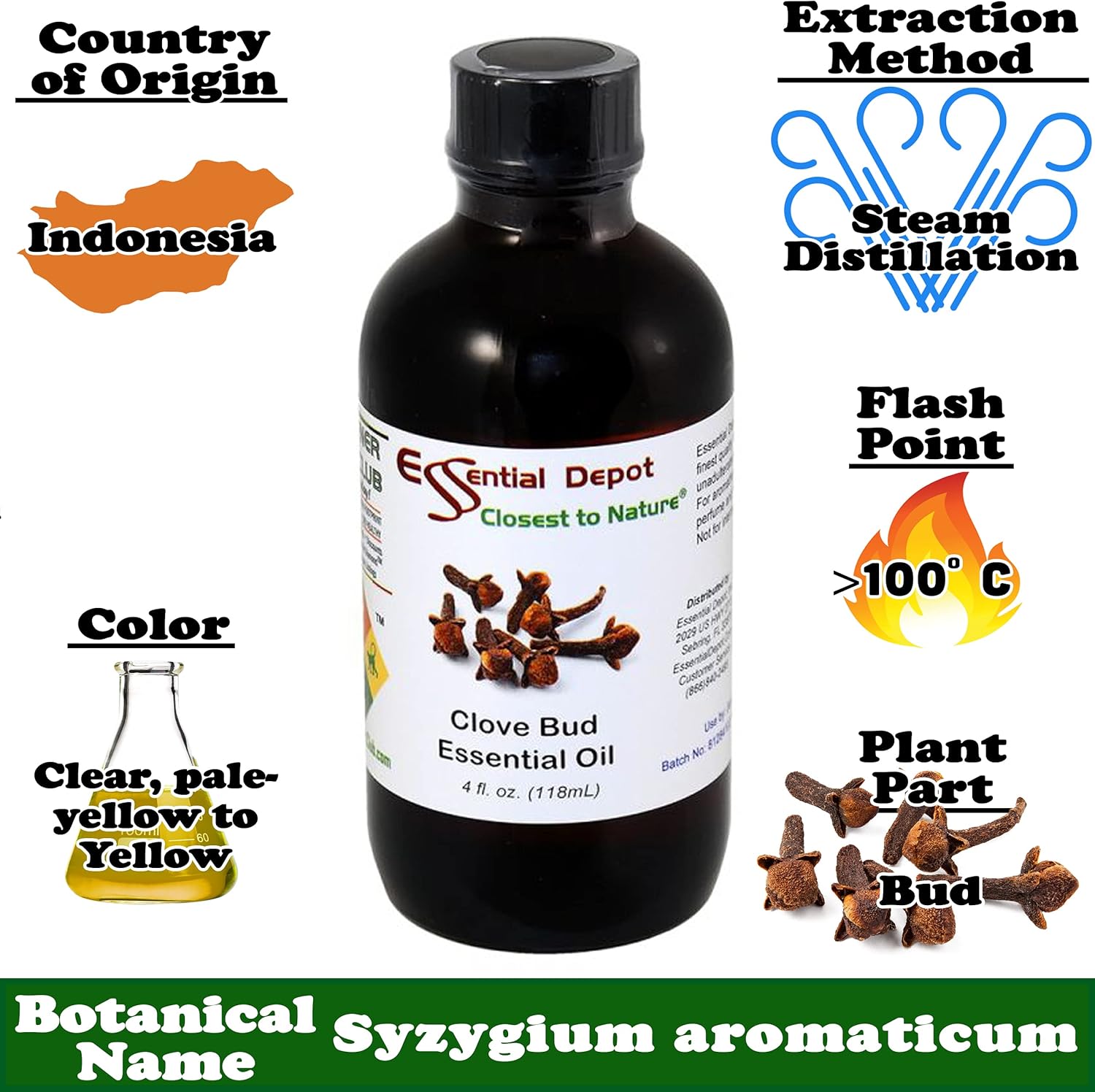 Essential Depot Clove Bud Essential Oil - 4 oz - GC/MS Tested - Supplied in 4 oz. Amber Glass Bottle with Black Phenolic Cone Lined and Safety Sealed Cap