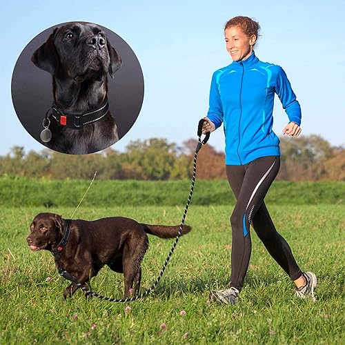 Miniatura 11 de Correa para perro resistente – mango acolchado cómodo, 5 pies de largo – Correas para perros pequeños, medianos y grandes