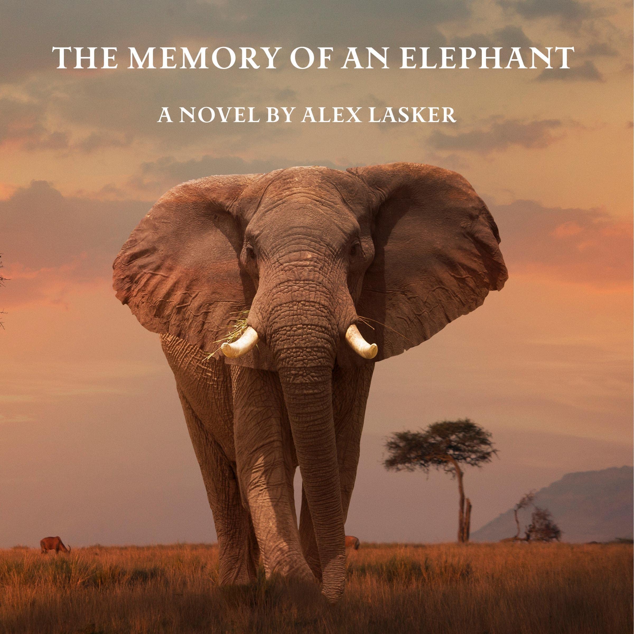 Cover art for The Memory of an Elephant