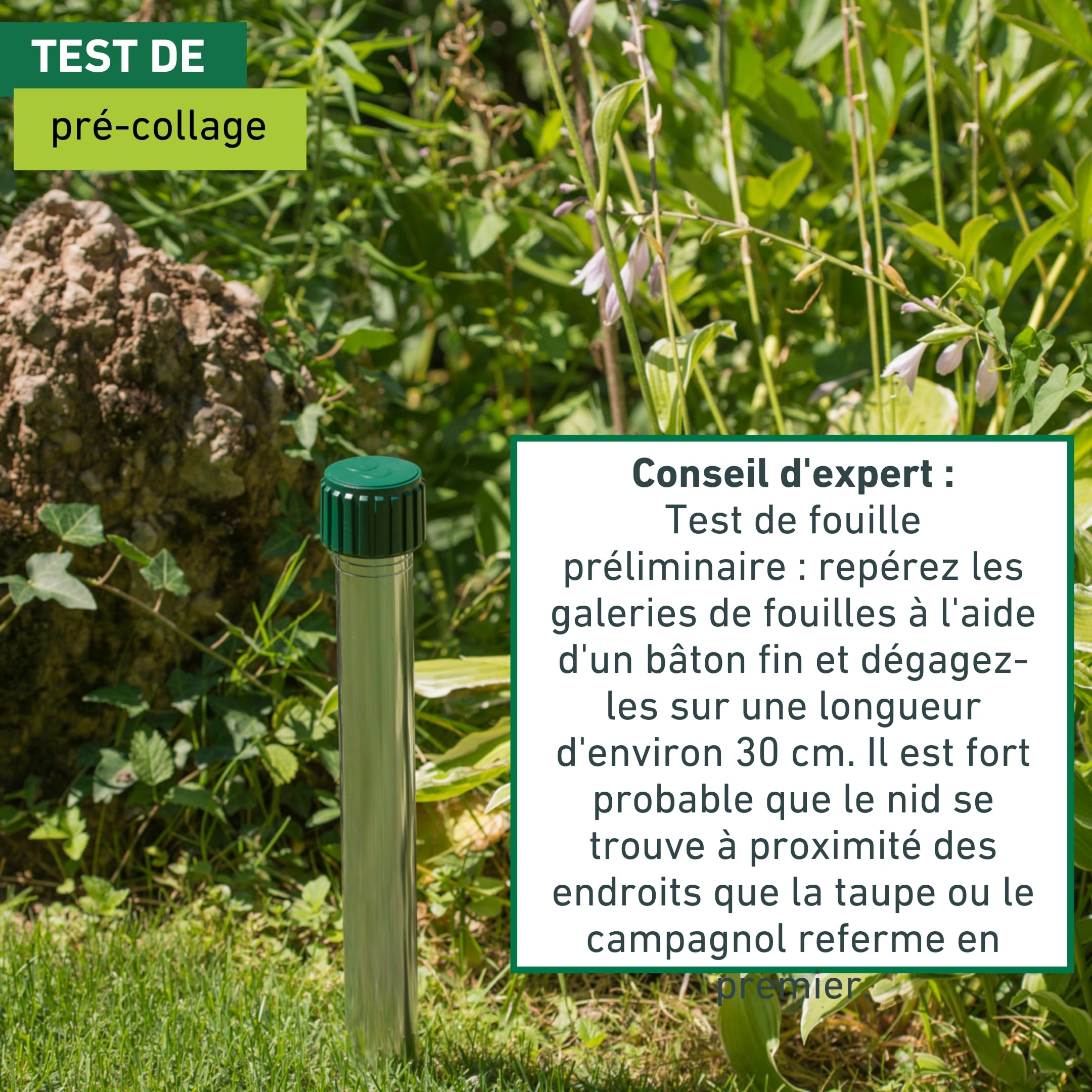 Windhager Répulsif Taupe & Campagnol Aluminium, Ultrasons sans Produits Chimiques, Portée Jusqu’à 800 m², Fonctionne à Piles, Résistant aux Intempéries, 02130