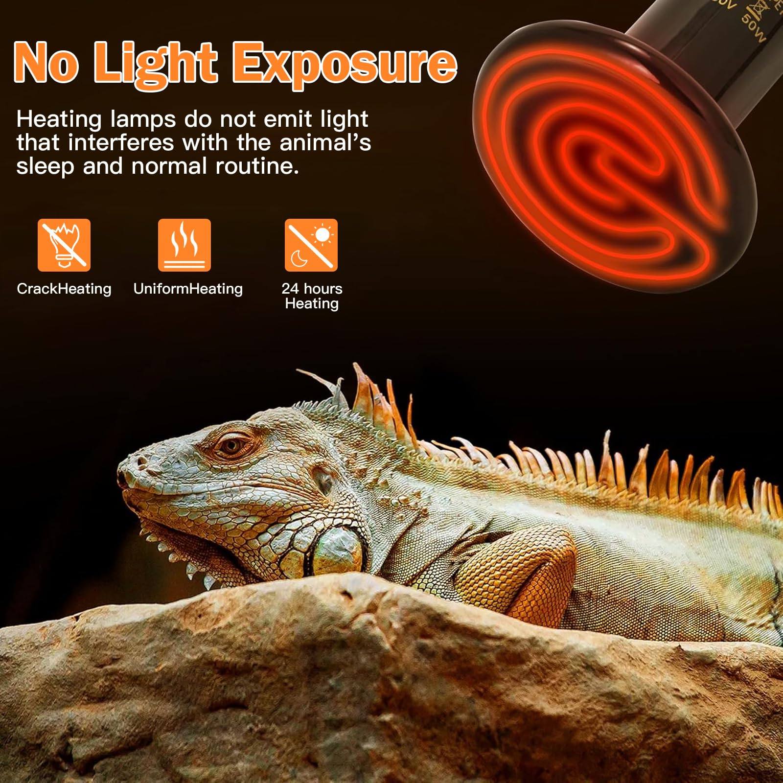 Bocguy 2 Piezas emisor de calor de cerámica,50W Bombilla de calor para reptiles,Calor Bombilla Ceramica Reptiles,emisor de calor de cerámica para reptiles,lagartos,serpientes,pollos,perros,gatos — view 5