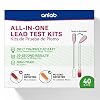 Lead Test Kit | Rapid Results in Less Than 30 Seconds | All-in-One, No Vinegar Needed | Check Lead in Painted Surfaces, Wood, Metal & More | Disposable Cotton Swabs - (40 Count)