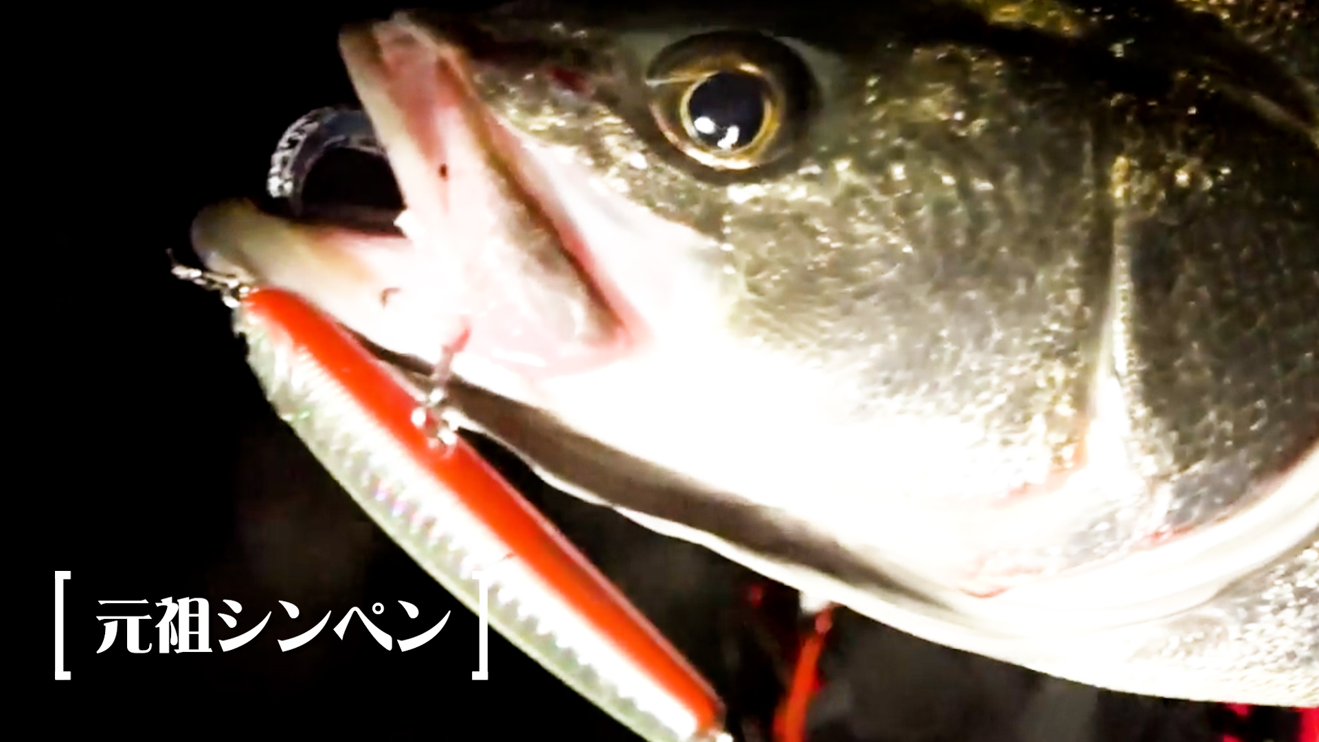 Amazon.co.jp: ラッキークラフト (LUCKY CRAFT) ワンダー メバル用