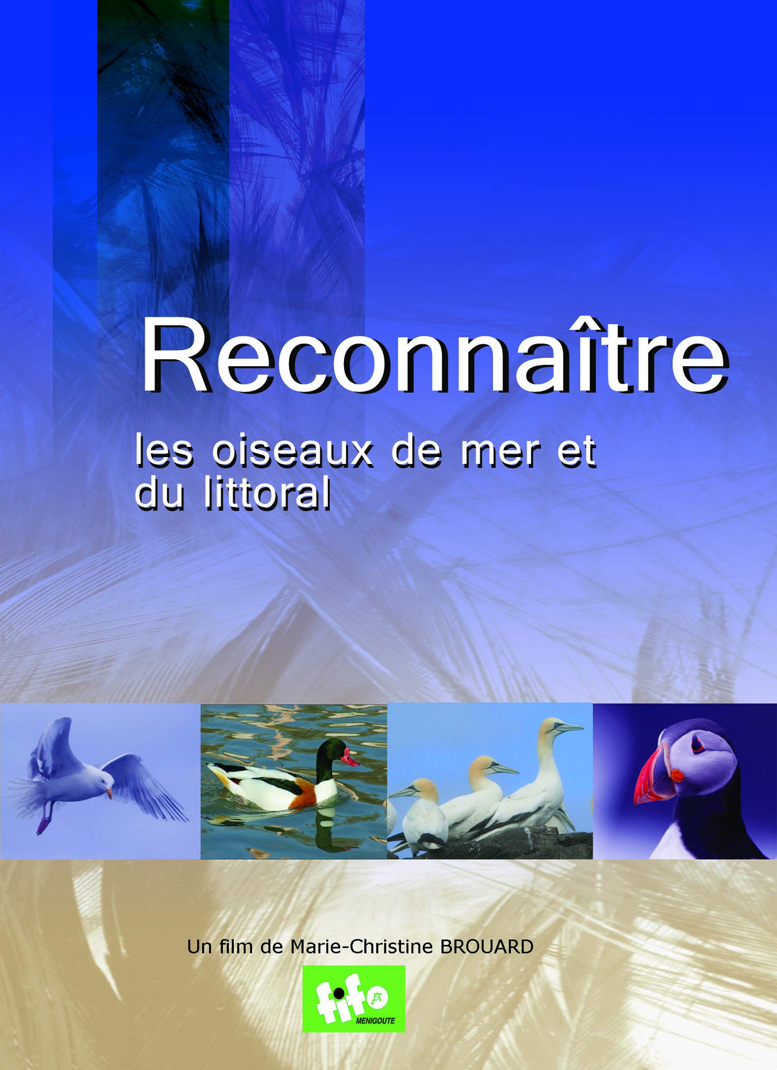 Aves marinas en DVD para identificar especies en tus rutas por la costa