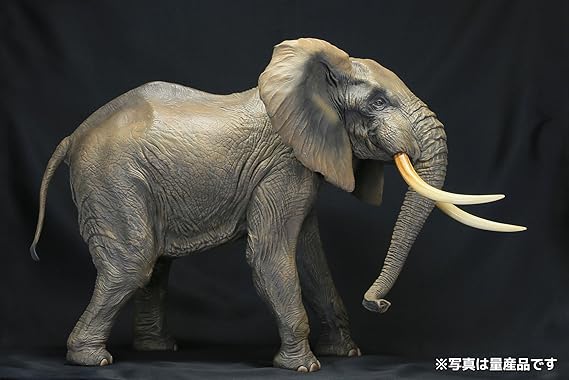 Amazon メガソフビアドバンス アフリカゾウ 約300mm Pvc製 塗装済み完成品フィギュア Msa 007 フィギュア ドール 通販
