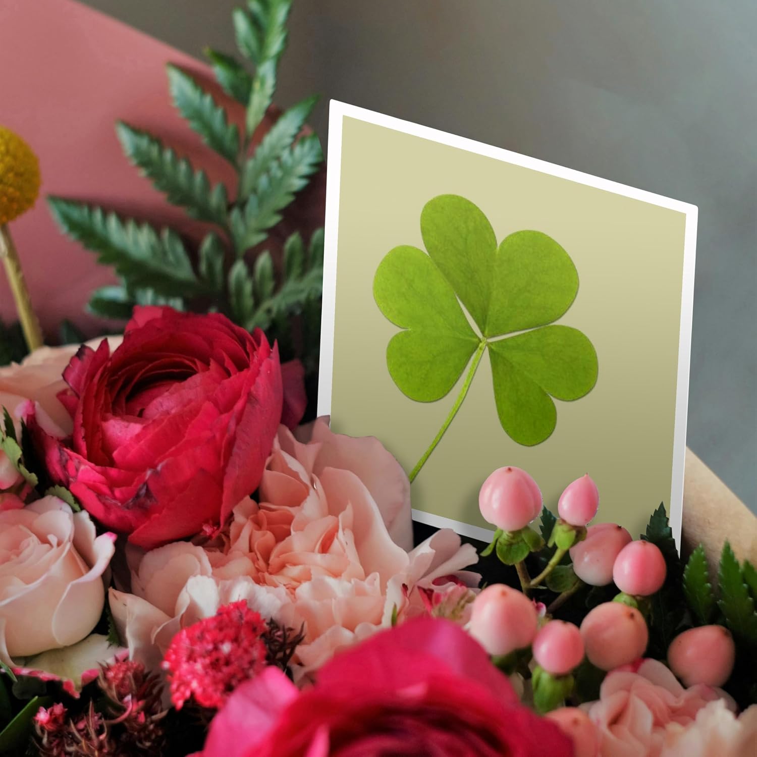3dRose Green Clover- Irish Art- St. Patricks Day - Greeting Cards, 6 x 6 inches, set of 12 (gc_39339_2)