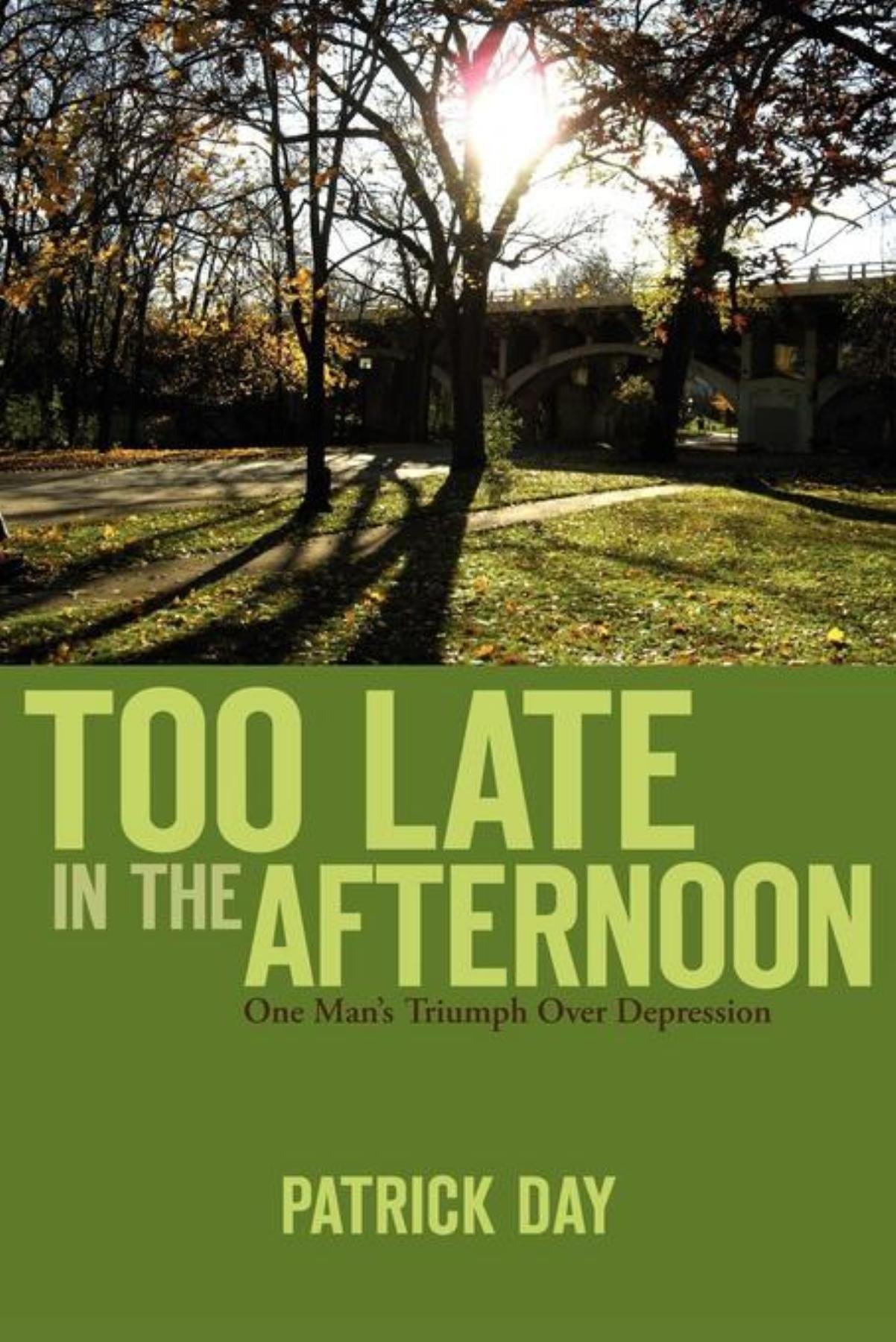 TOO LATE IN THE AFTERNOON: One Man's Triumph Over Depression