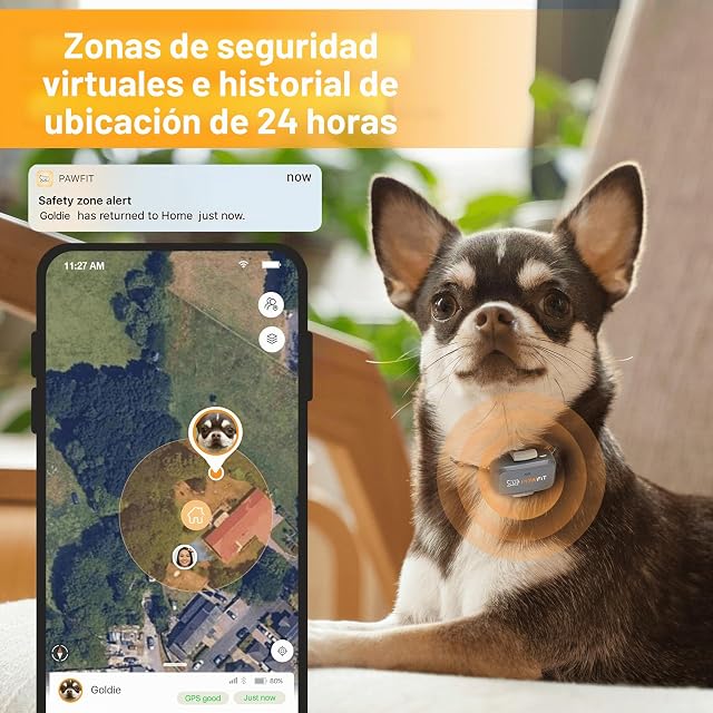 Foto 3 de 6 de Pawfit Lite - Rastreador de perros GPS 4G, seguimiento en vivo, ultraligero, simplemente blanco