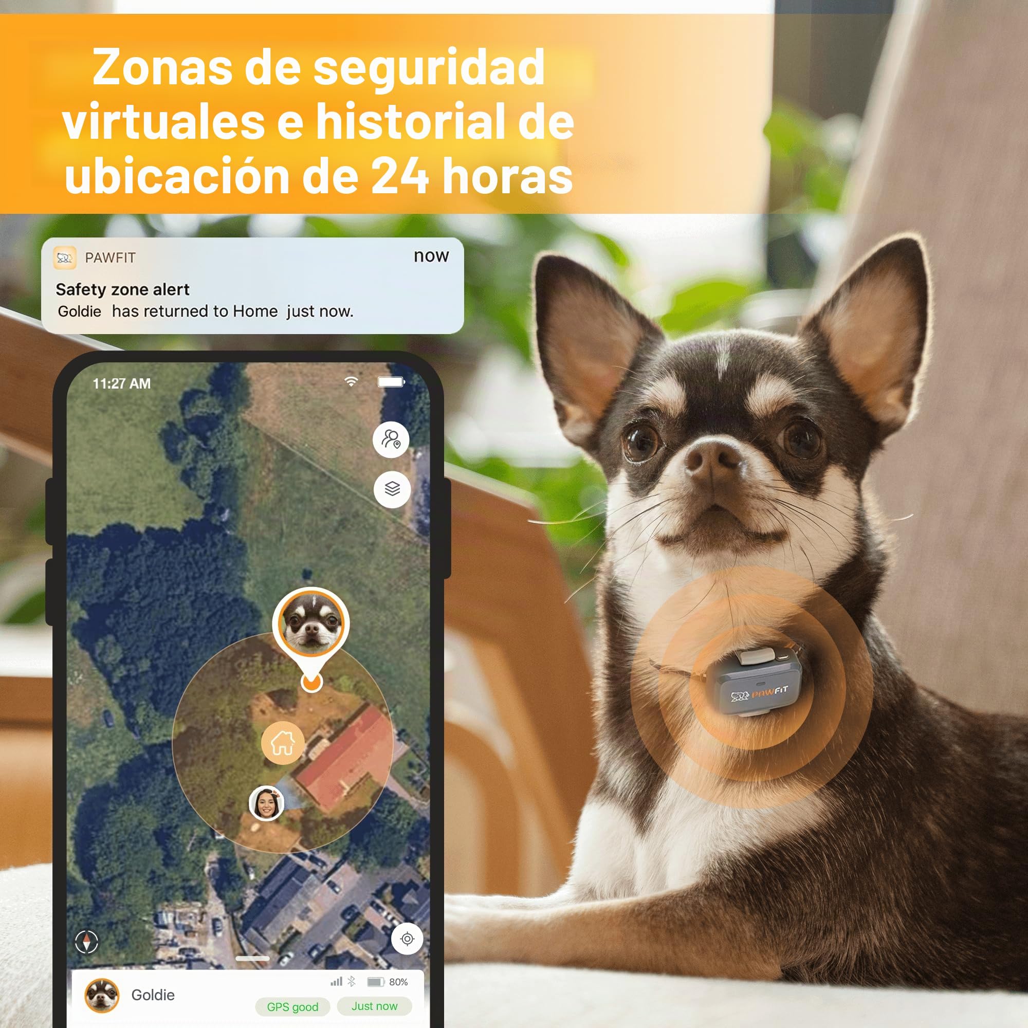 Pawfit Rastreador GPS Lite for Dogs 4g | Monitoreo en tiempo real | Seguimiento de actividad | Historial de ubicaciones | Rango ilimitado | Collar de seguridad incluido|Onyx negro