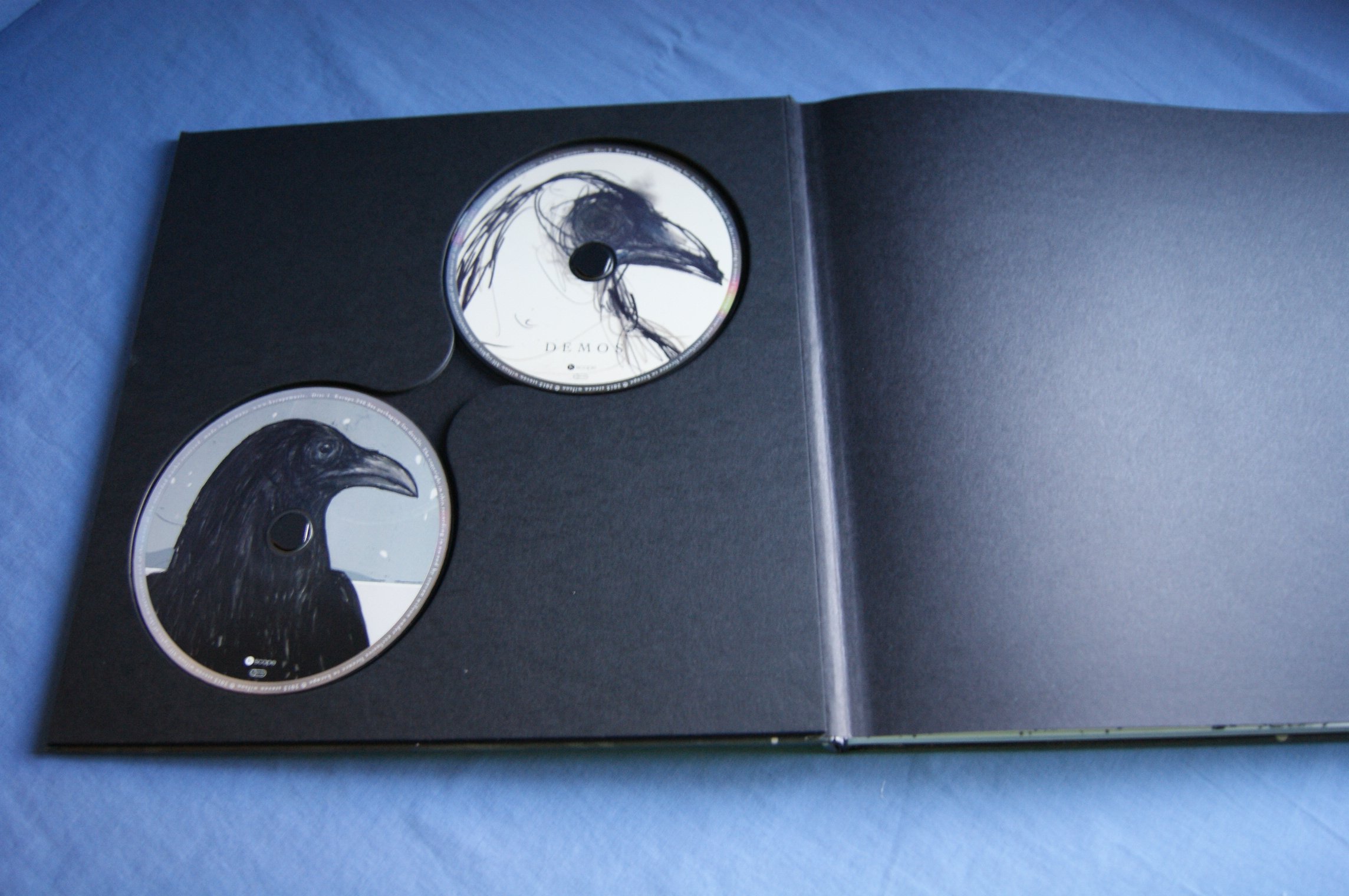 Raven That Refused To Sing (And Other Stories)