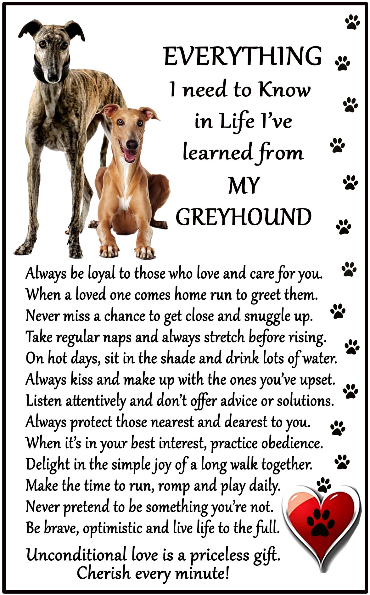 Fridge Magnets White Greyhound Lover (I Learned From My Greyhound) Gift - Large Fun Flexible Fridge Magnet- Size 16Cms X 10 Cms (Approx. 6" X4")