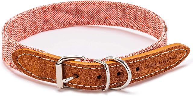 HUGO & HUDSON Italian Soft Leather Padded Dog Collar - Strong Metal Buckle and Adjustable Comfortable Pet Collars for Small, Medium and Large Dogs - Orange Fabric and Beige Suede - 50