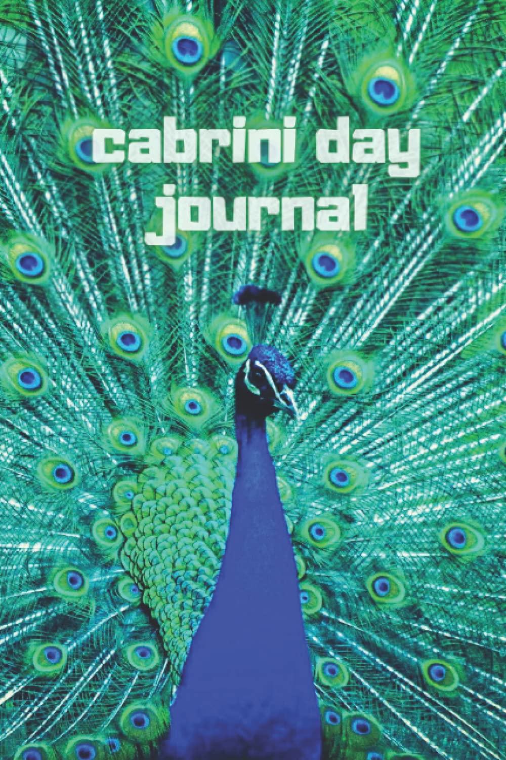 cabrini day journal: Frances Xavier | 120 Pages | Black Lined Journal | 6" * 9" inches