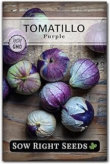 Sow Right Seeds - Purple Tomatillo Seeds for Planting - Non-GMO Heirloom Packet with Instructions to Plant an Outdoor Home Vegetable Garden - Mexican Husk Tomato - Ground Cherries Great for Salsa (1)