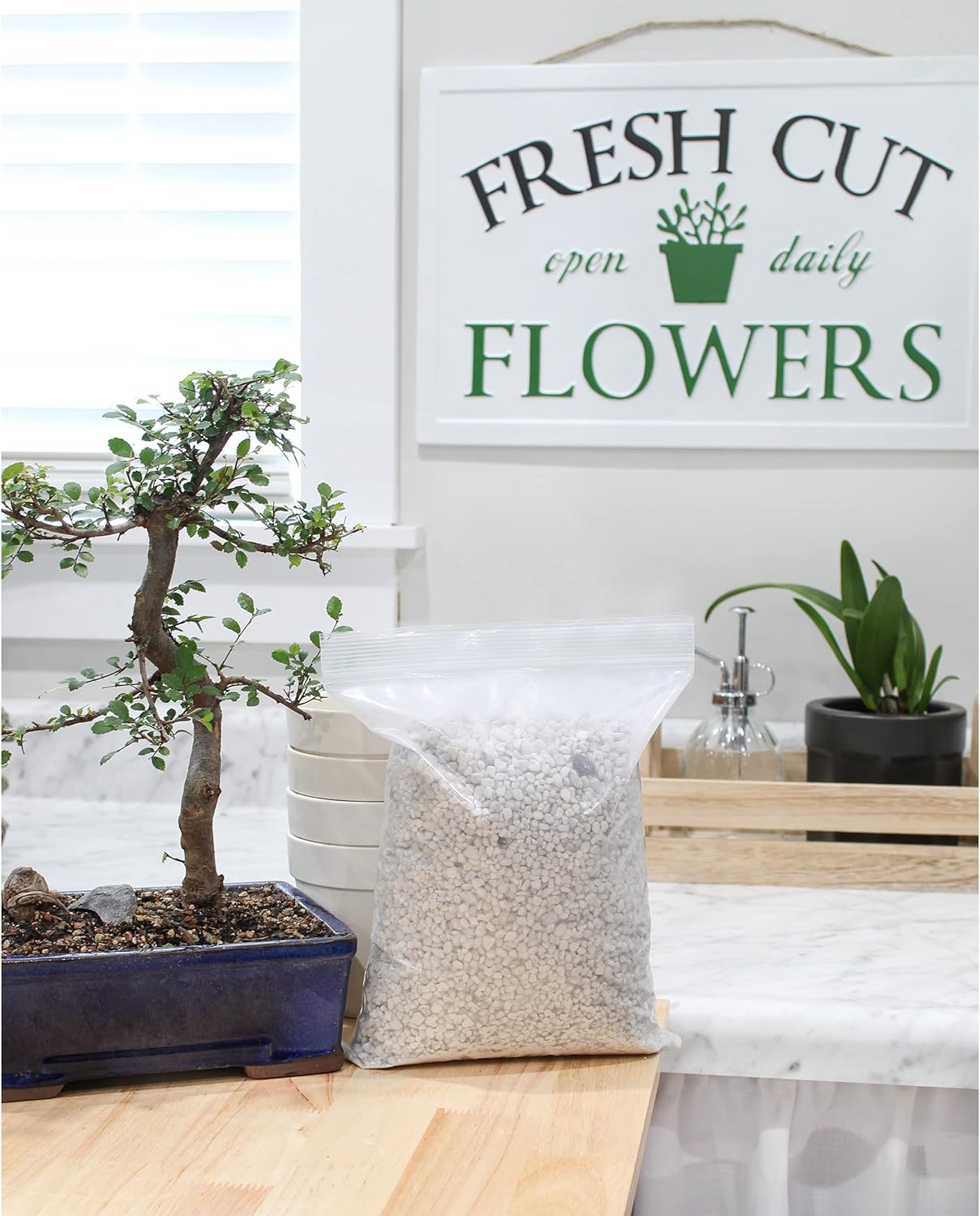 Orta asrlardagi Italiya shtatlarida jinsiy aloqa haqida onlayn videolarni tomosha qiling. porno buvisi yulduz