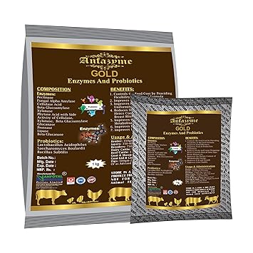 Anfotal Nutritions Anfazyme Gold Enzymes and Probiotics for Dairy, Cattle, Cow, Goat & Sheep Feed Supplements 1 Kg Pouch
