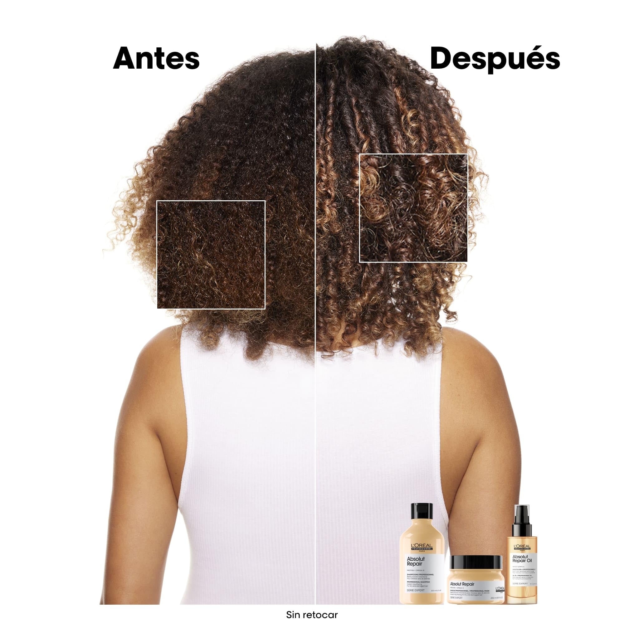 L’Oréal Professionnel, Mascarilla Tratamiento Reconstructor para Pelo Seco y Dañado, Absolut Repair, 250ml