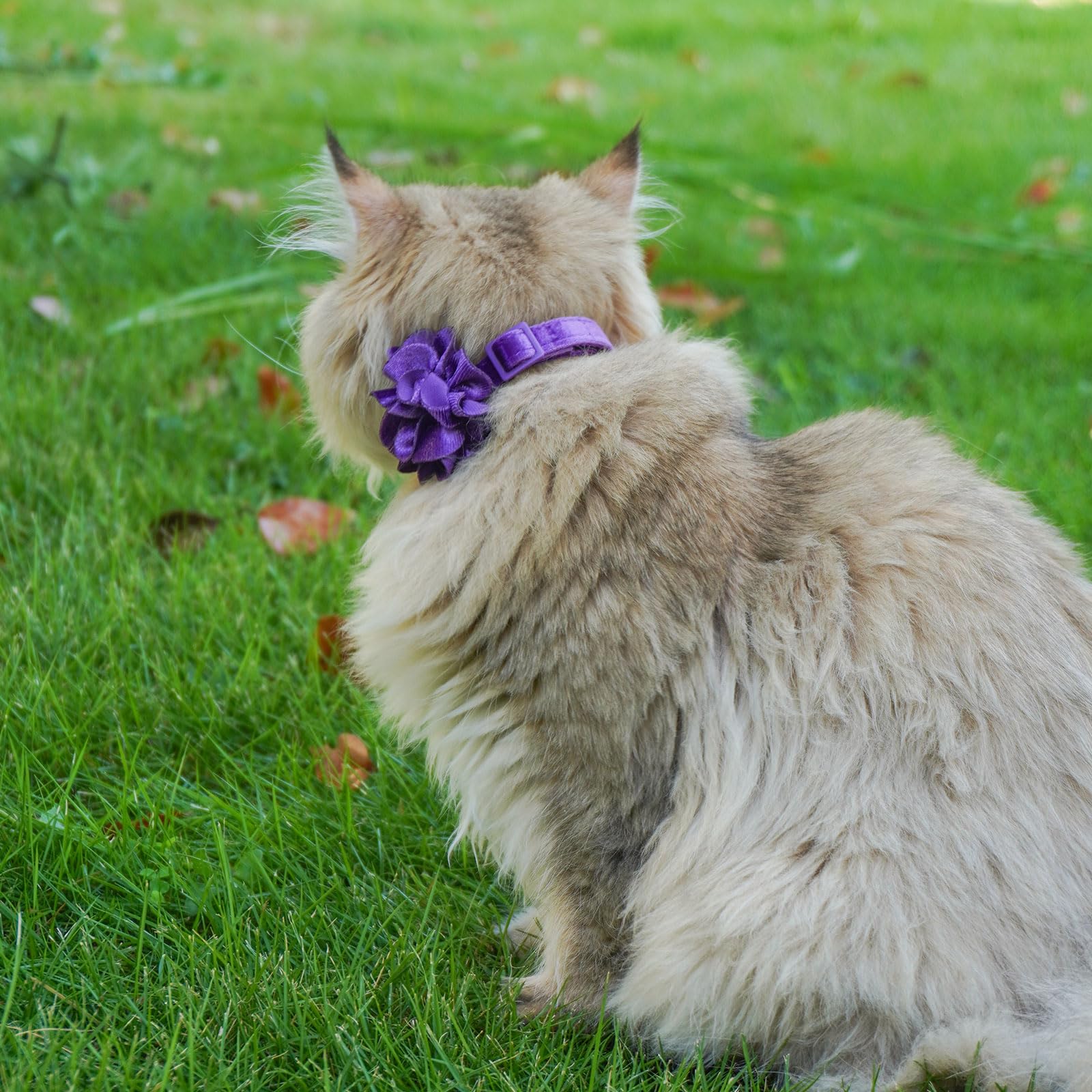 azuza Paquete de 2 collares de gato florales con campana y pajarita de flores extraíbles, tela de terciopelo ajustable, collar de gato para mascotas, fiesta de vacaciones y decoración diaria, rosa