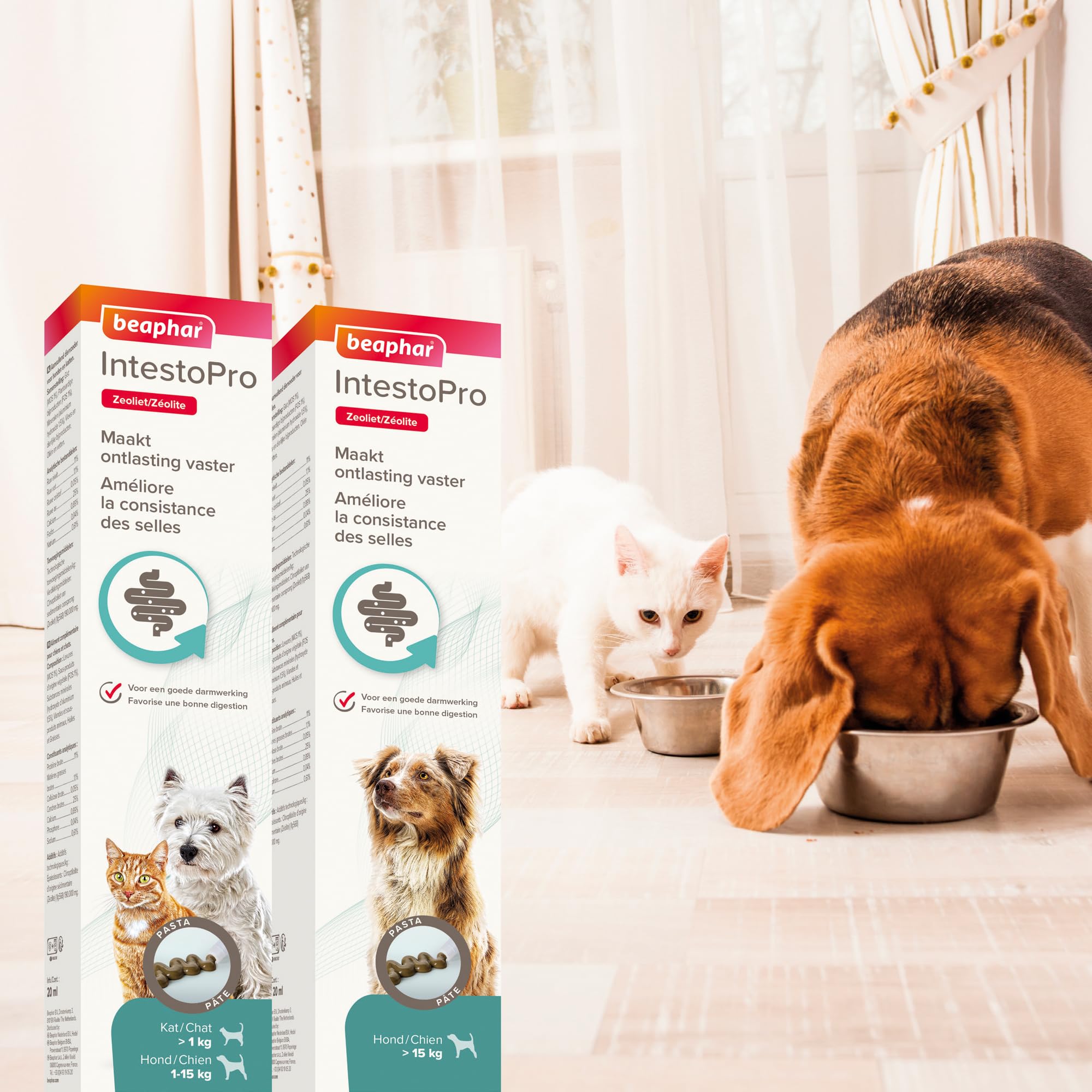 Beaphar Intestopro Pasta Gatti/Cane Fino a 15 kg - Agente digestivo - Pollo 1x 20ml