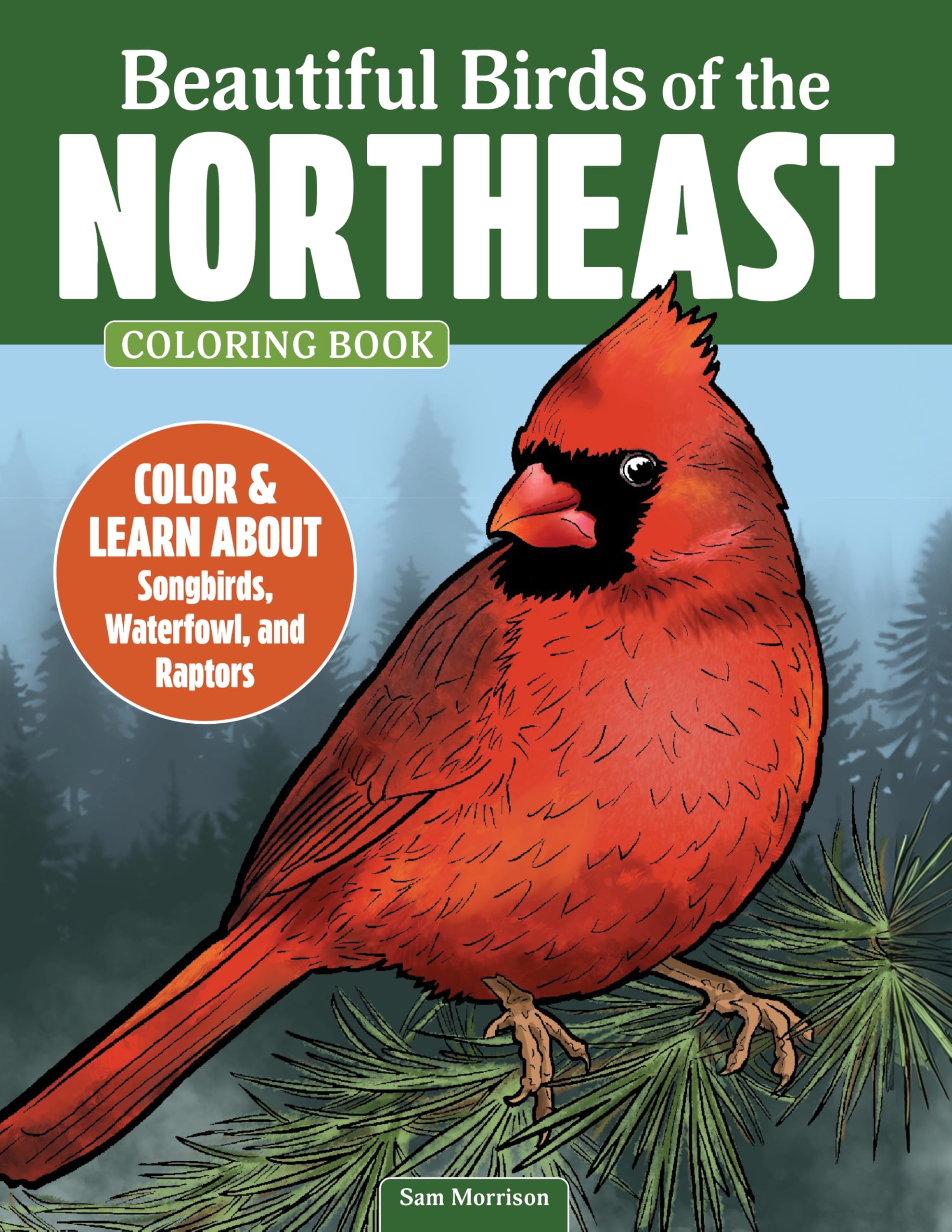 Beautiful Birds of the Northeast Coloring Book: Color & Learn About Songbirds, Waterfowl, and Raptors (Design Originals) Adult Coloring Pages for Birdwatchers and Nature Lovers - One-Sided Designs