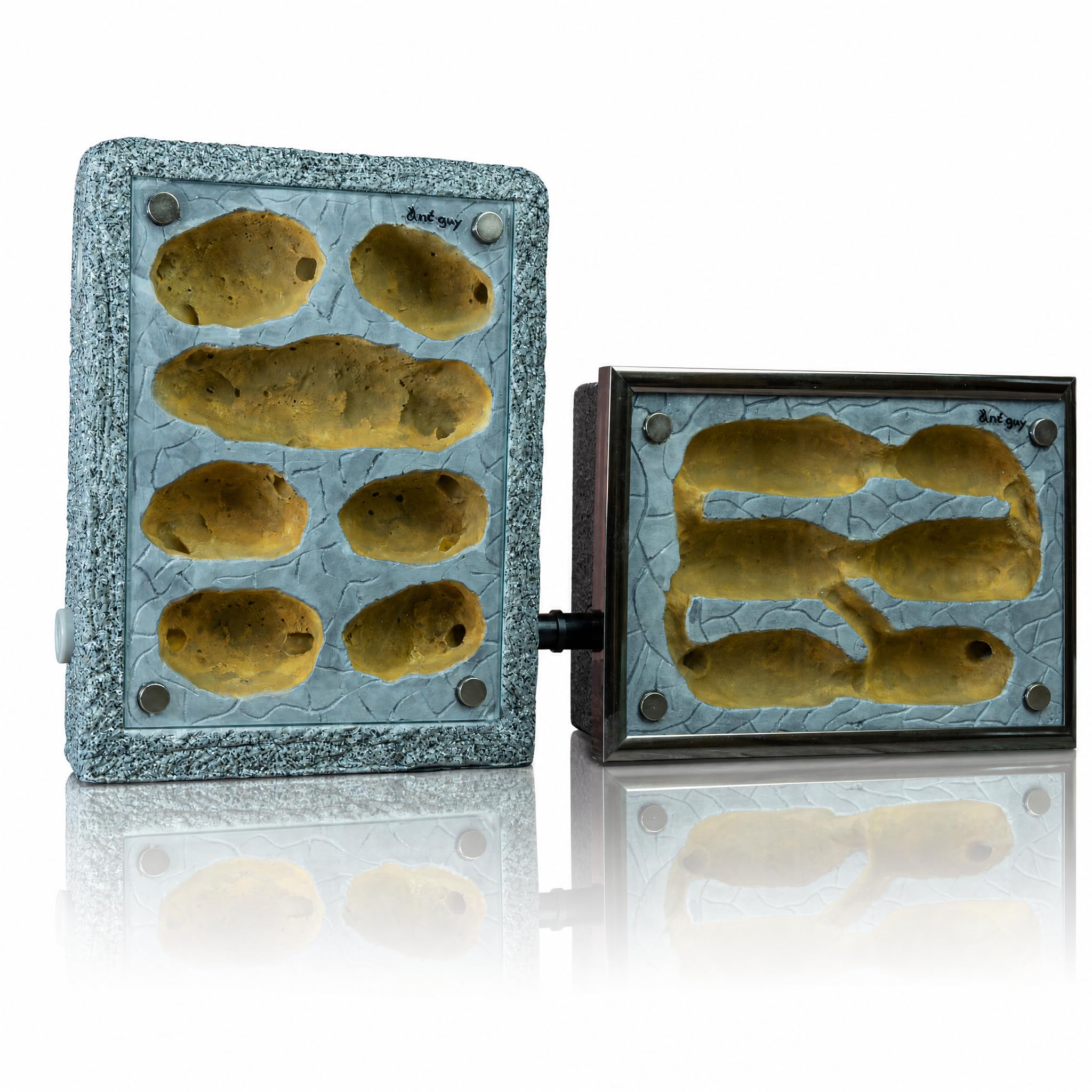 Formicarium Ameisennest Ameisenfarm in Granitoptik für Ameisen