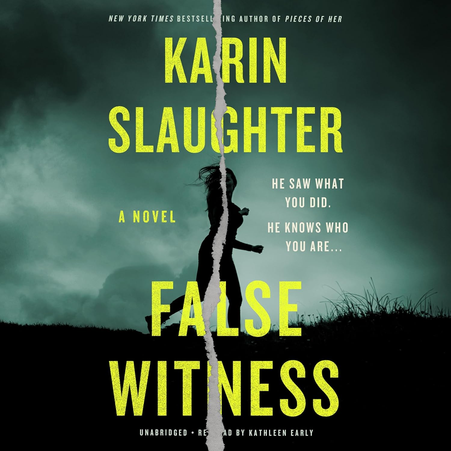 False Witness: A Novel False Witness: A Novel