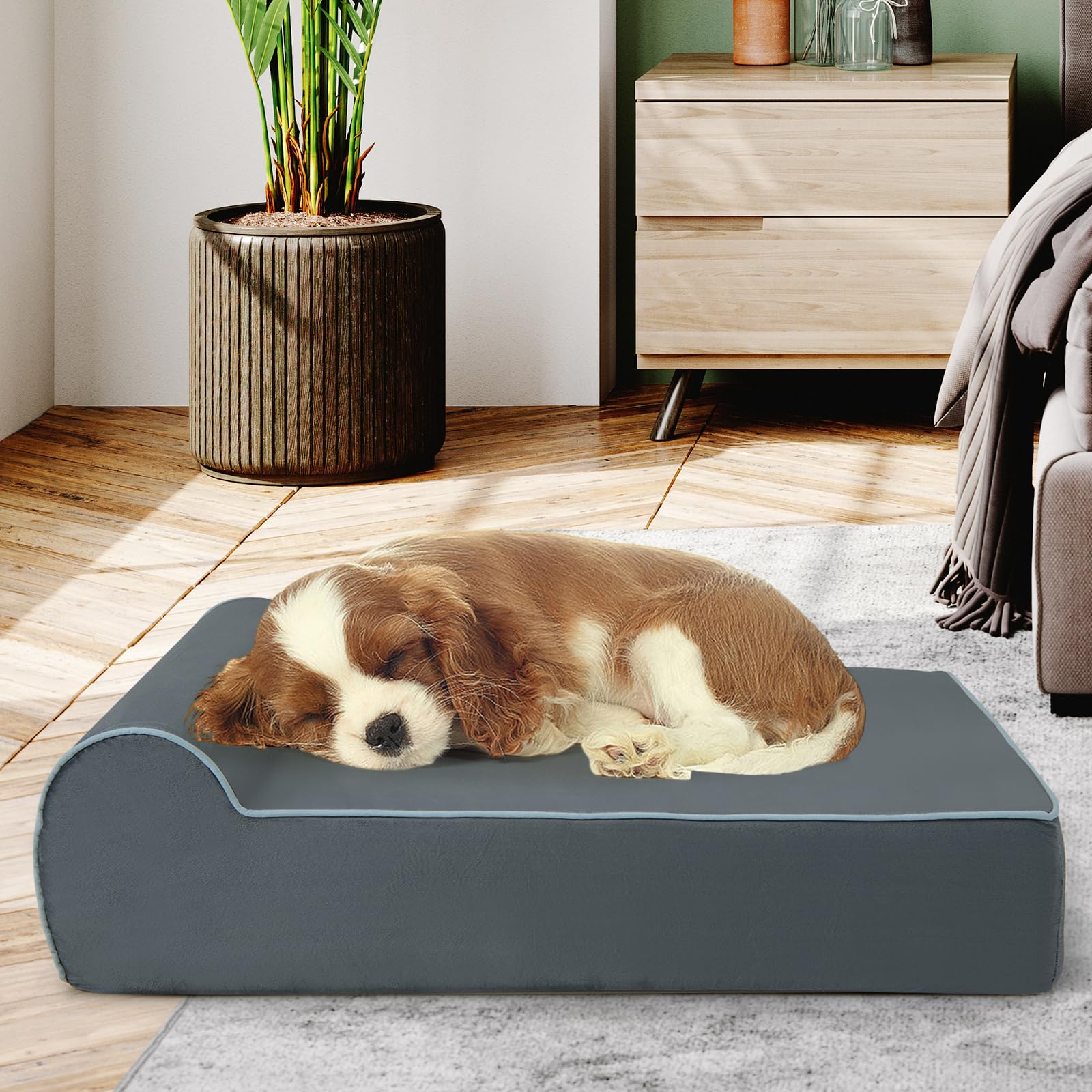 GYMAX Cama para Perros de Interior, Forro Ultra Suave, Relleno Interno de Espuma Viscoelástica con Grafeno y Esponja de Alta Densidad, Cama Desenfundable y Lavable con Cojín Lateral