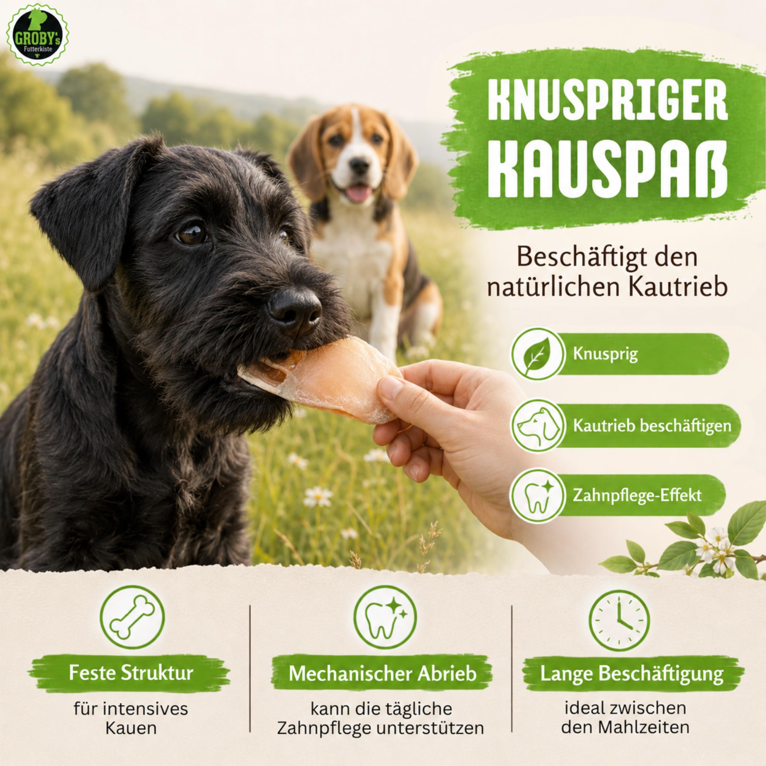 Rinderhufe für Hunde 100 Stück - ungefüllte Kauhufe vom Rind - extrem Harter Naturkauartikel zum Befüllen - Langer Kauspaß für Welpen und Junghunde